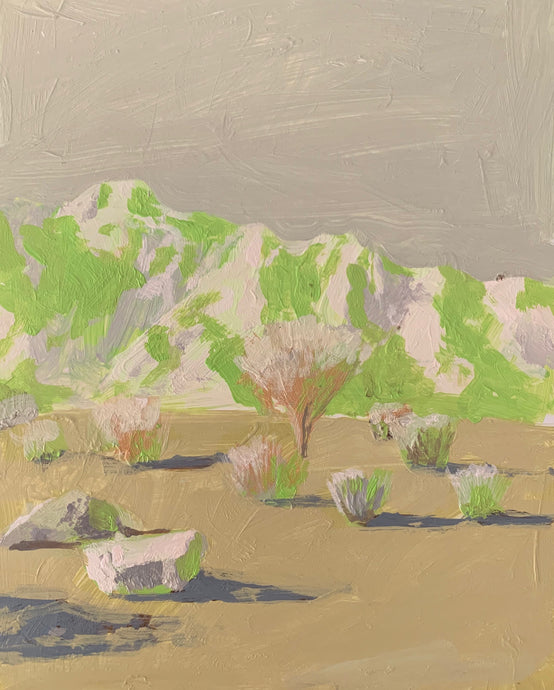 Lime Desert, 8